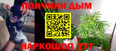стаф Моздок