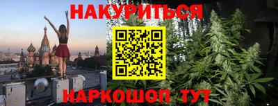 стаф Моздок