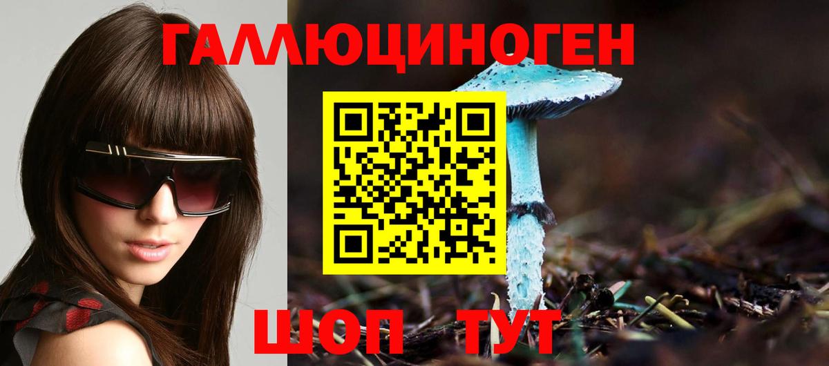 Галлюциногенные грибы MAGIC MUSHROOMS  Псилоцибиновые грибы мицелий  Грязи  Вход с VPN 